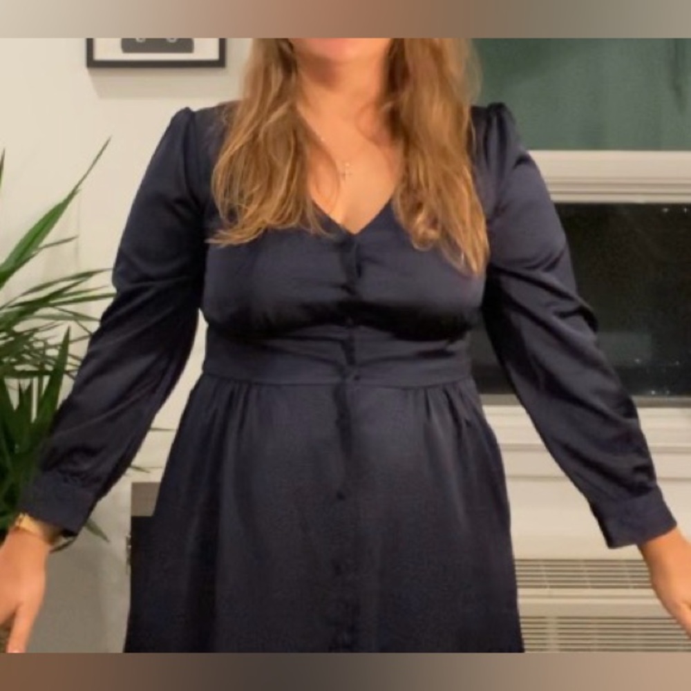 J Crew Navy Button-Down Dress